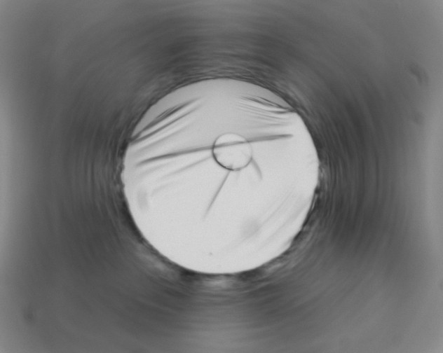 X0000113100237200910091145