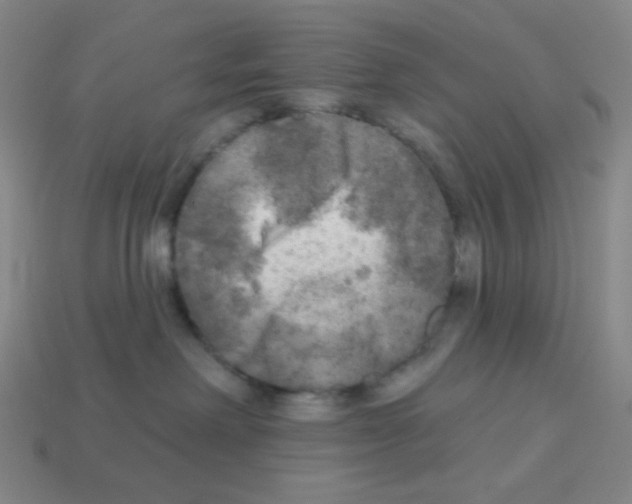 X0000113100238200910091145