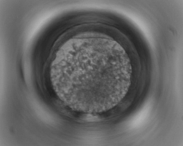X0000113100239200910091145
