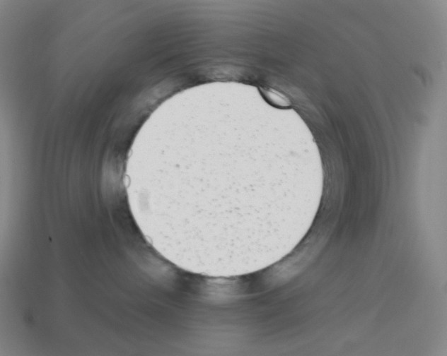 X0000113100240200910091145
