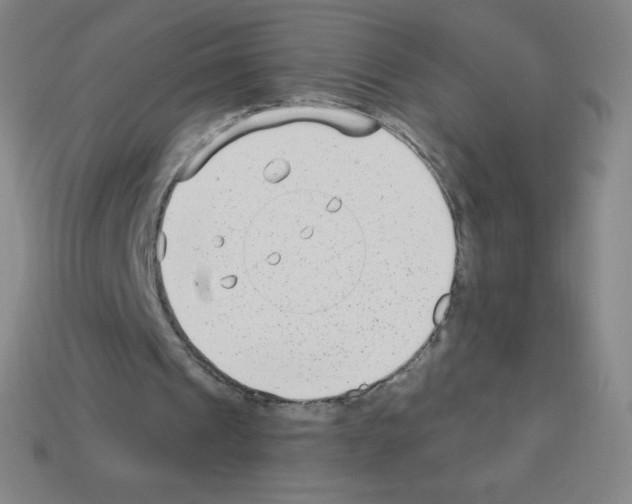 X0000113100241200910091145