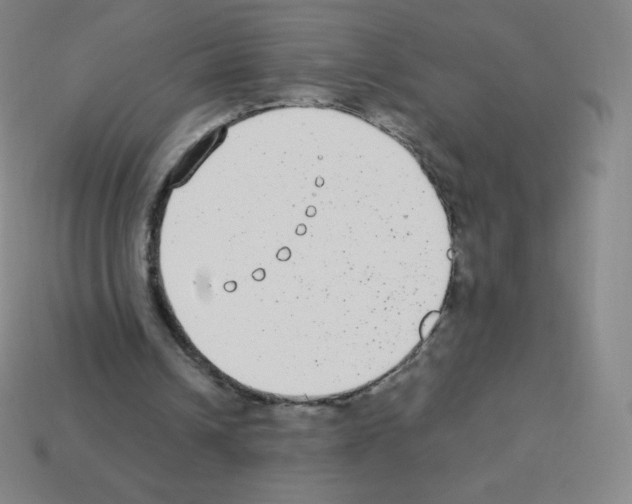 X0000113100242200910091145