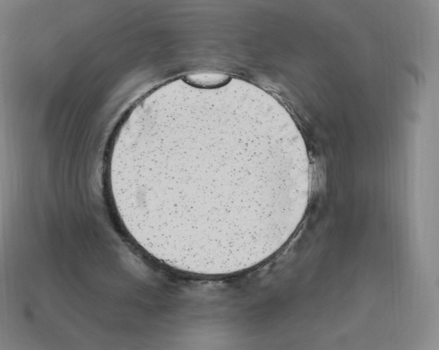 X0000113100243200910091145