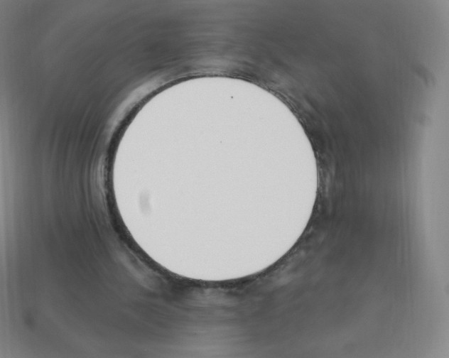 X0000113100244200910091145