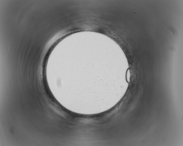 X0000113100246200910091145