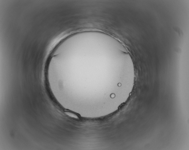 X0000113100248200910091145