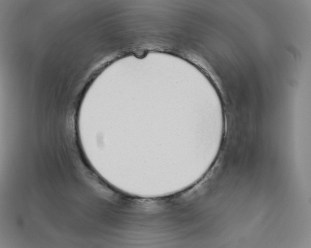 X0000113100249200910091145
