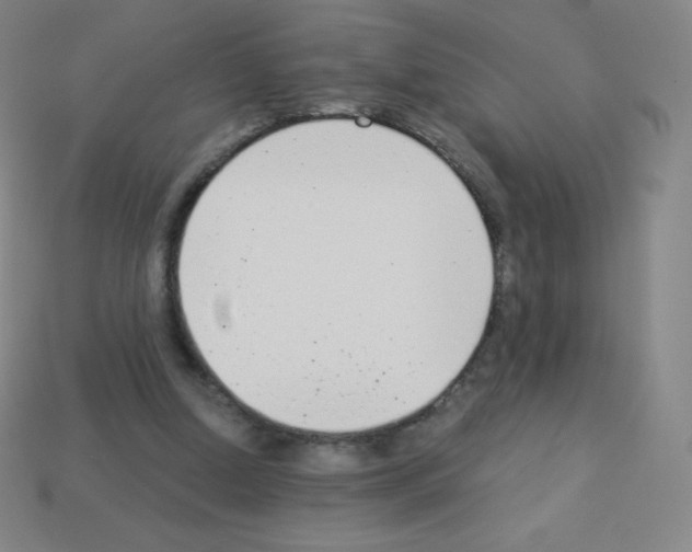 X0000113100250200910091145