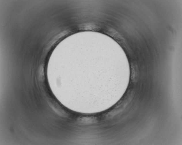 X0000113100251200910091145