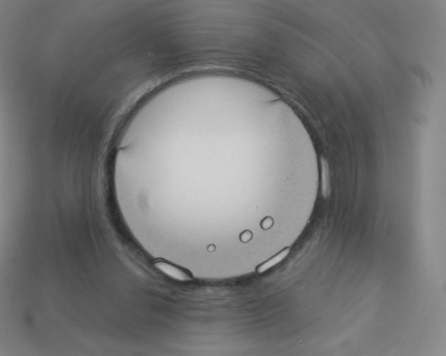X0000113100252200910091145