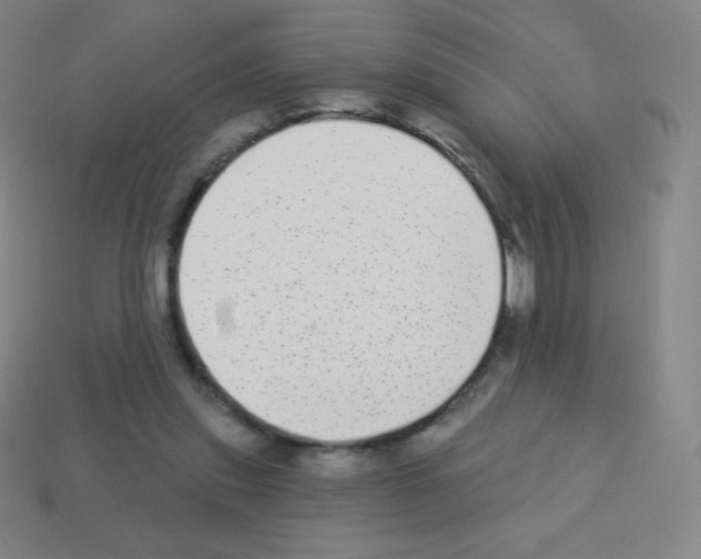 X0000113100253200910091145