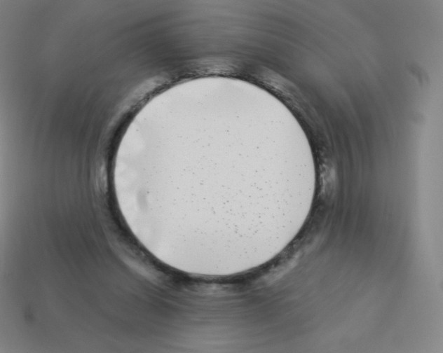 X0000113100254200910091145