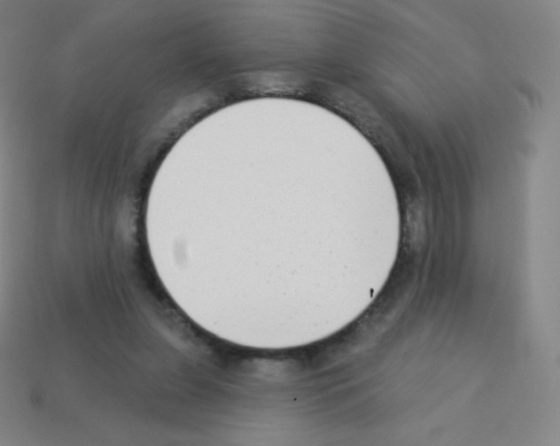 X0000113100255200910091145