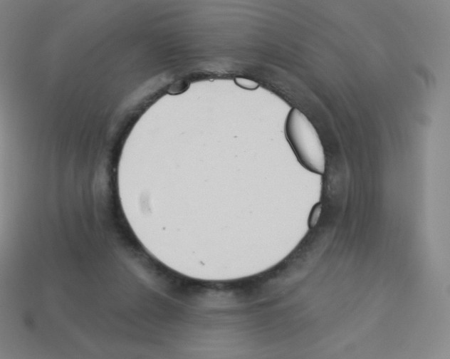 X0000113100256200910091145