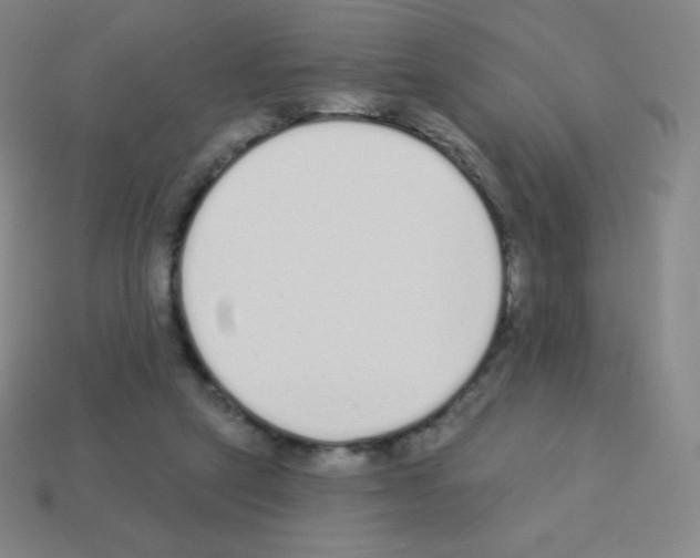 X0000113100257200910091145