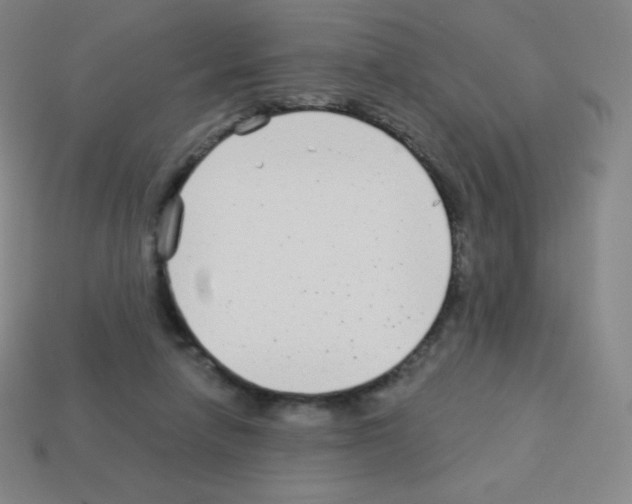 X0000113100258200910091145