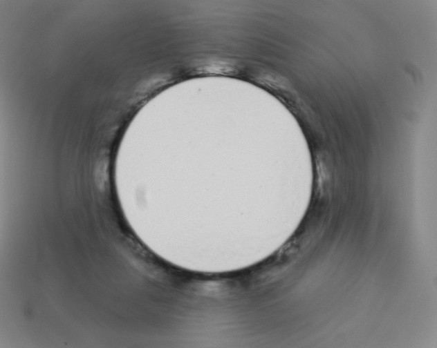 X0000113100259200910091145