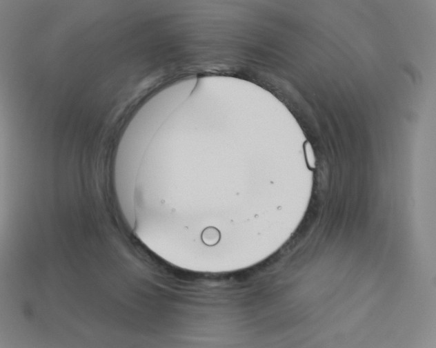 X0000113100260200910091145