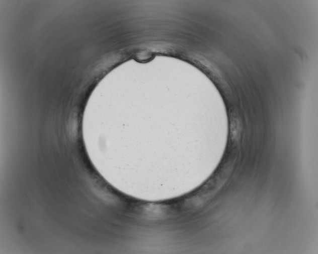 X0000113100261200910091145