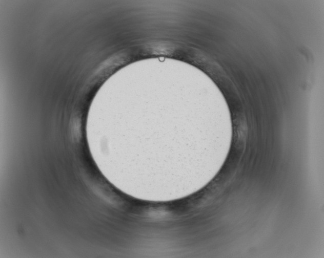 X0000113100262200910091145