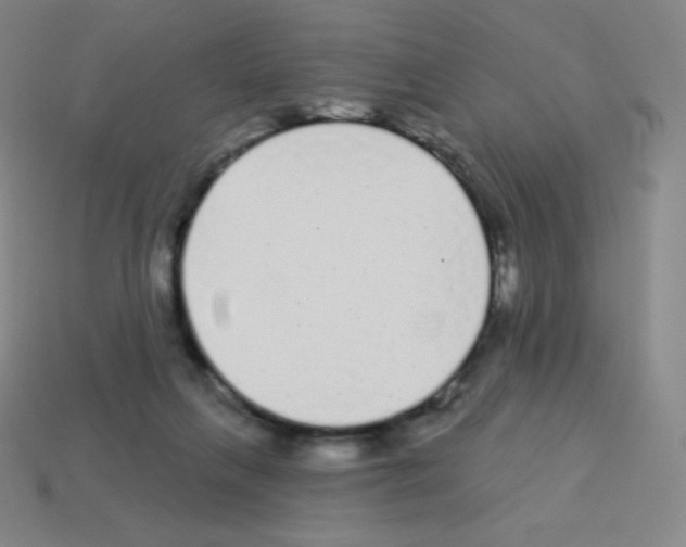 X0000113100263200910091145