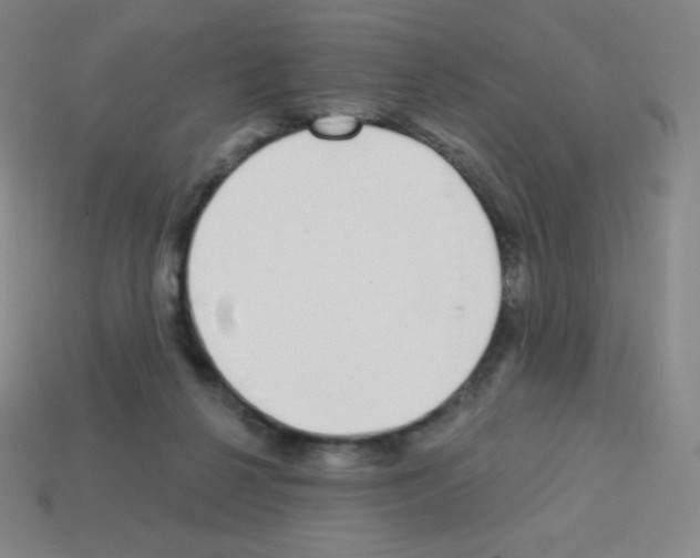 X0000113100264200910091145