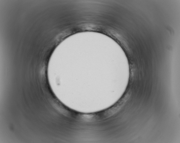 X0000113100265200910091145