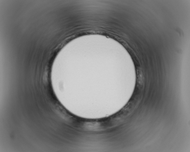 X0000113100266200910091145