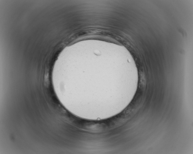 X0000113100267200910091145