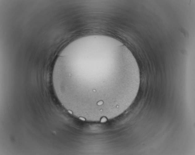 X0000113100268200910091145