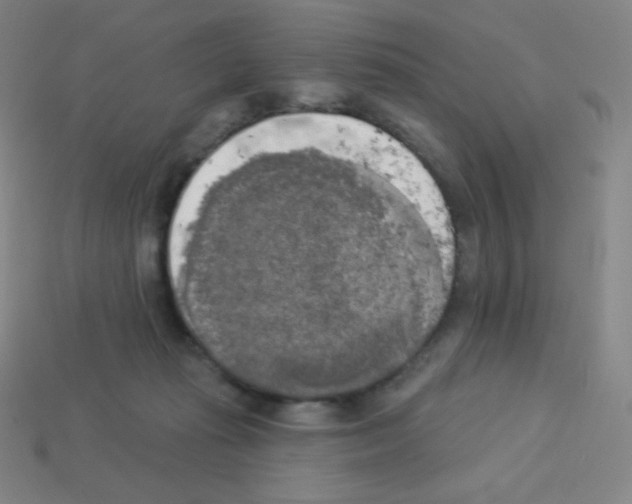 X0000113100269200910091145