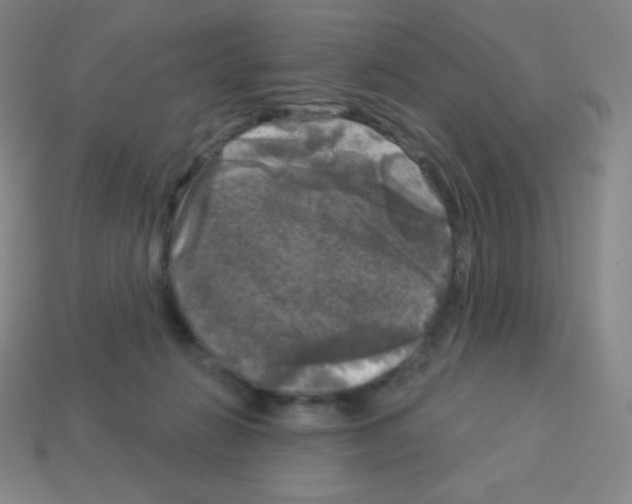 X0000113100270200910091145