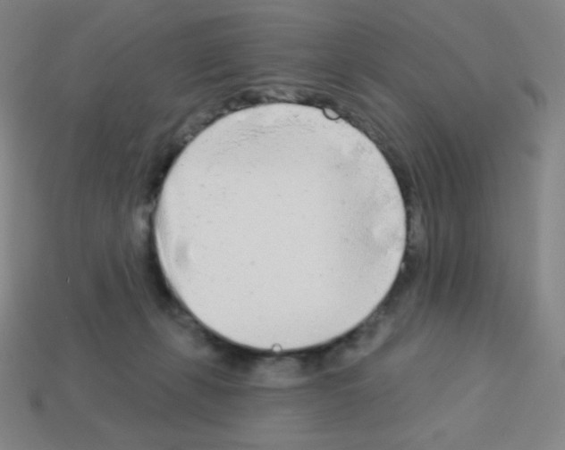 X0000113100271200910091145
