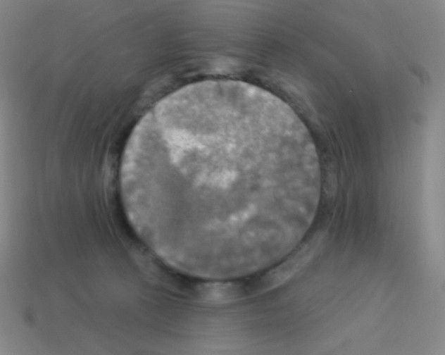 X0000113100273200910091145