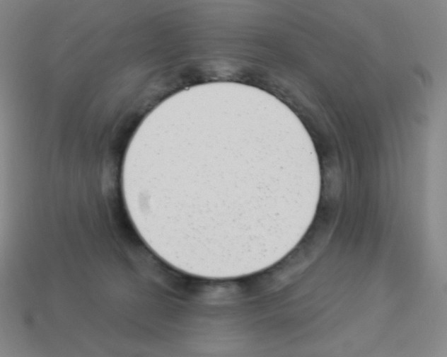 X0000113100274200910091145