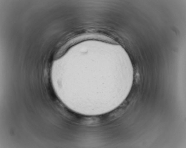 X0000113100275200910091145