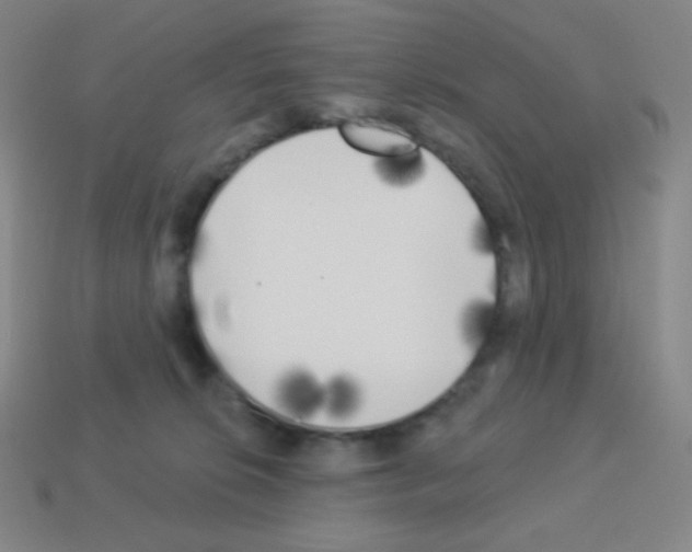 X0000113100276200910091145