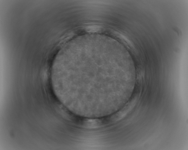X0000113100277200910091145