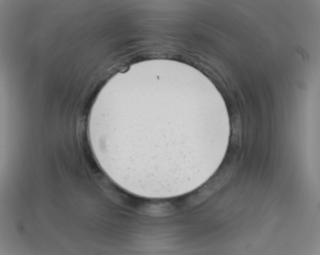 X0000113100278200910091145