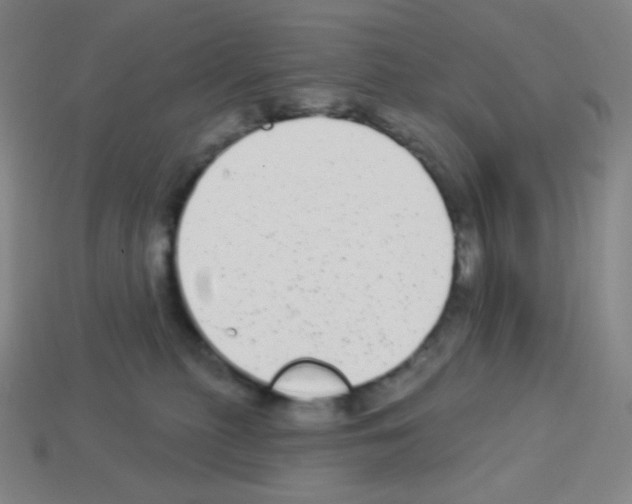 X0000113100279200910091145