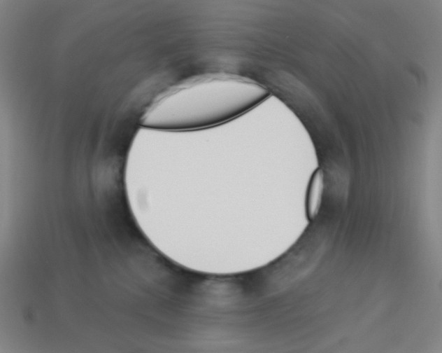 X0000113100280200910091145