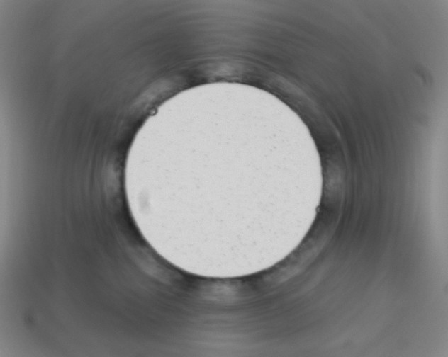 X0000113100282200910091145