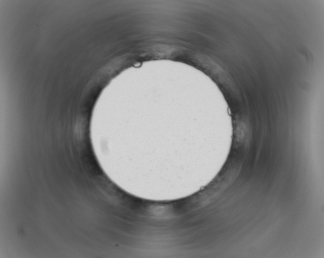 X0000113100283200910091145