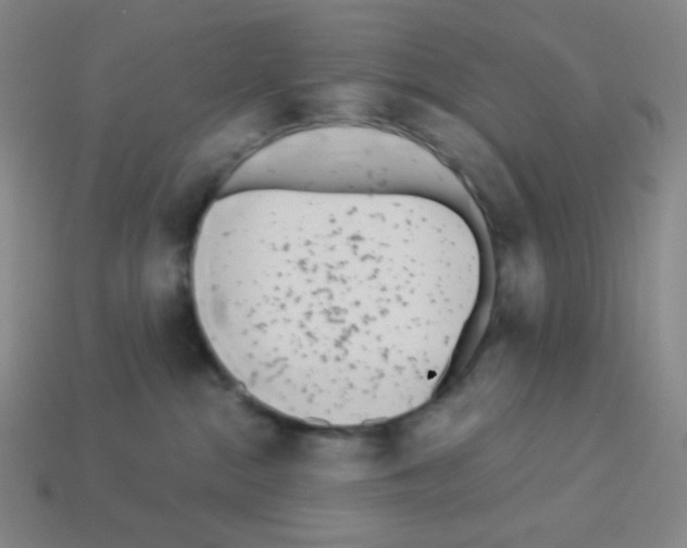 X0000113100284200910091145