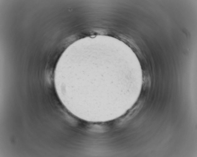 X0000113100285200910091145
