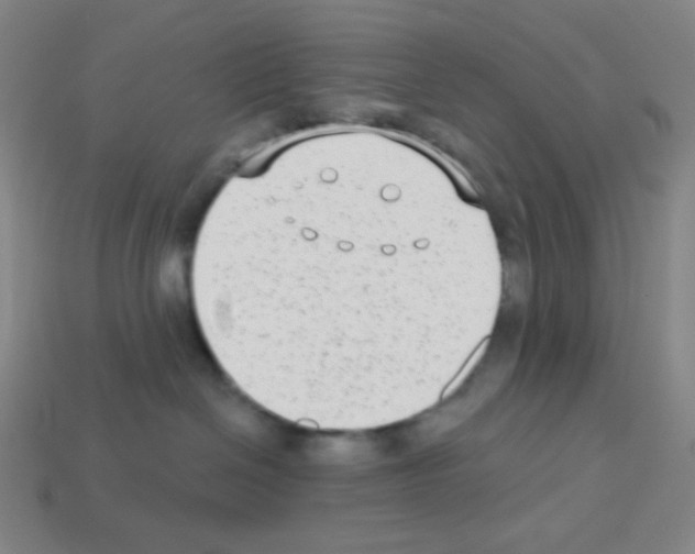 X0000113100286200910091145