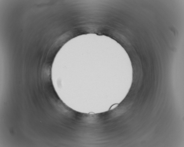 X0000113100288200910091145