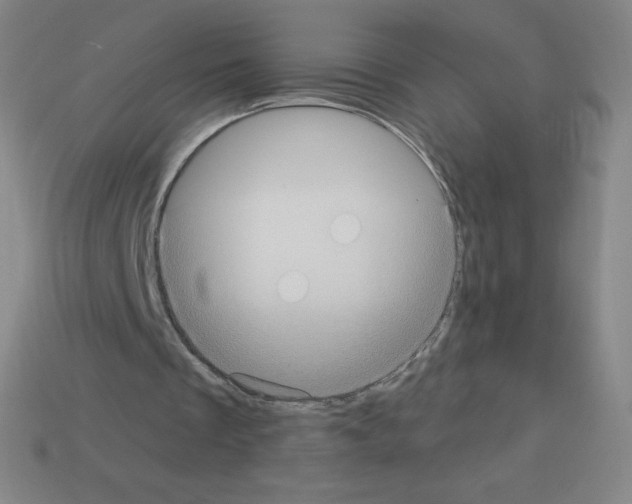 X0000113100289200910091145