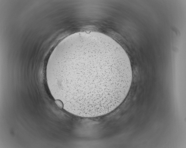 X0000113100290200910091145