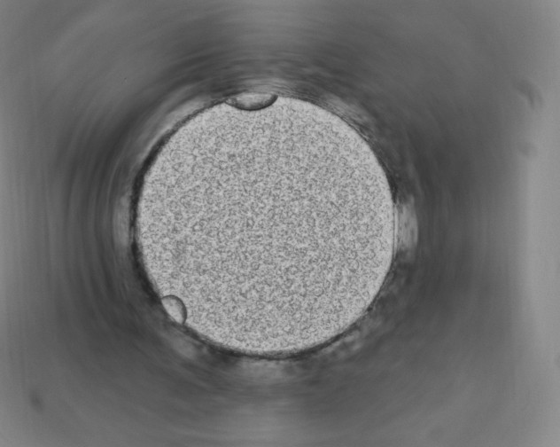 X0000113100291200910091145